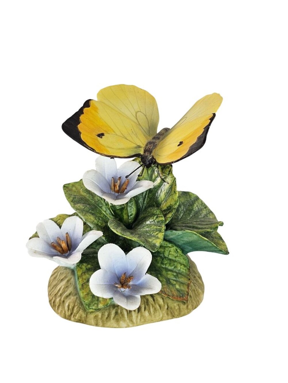 Stefani Porcelains Butterfly Floral Figurine Japan Pieridae Anteos Menippe